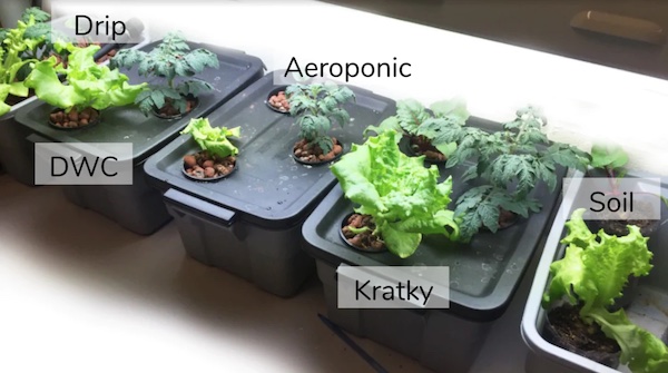 aeroponics vs kratky
