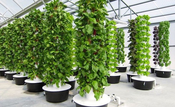 how does an aeroponic tower work