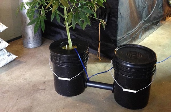 how to build hydroponic growing system