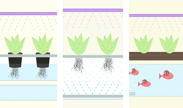 hydroponics vs aquaponics vs aeroponics